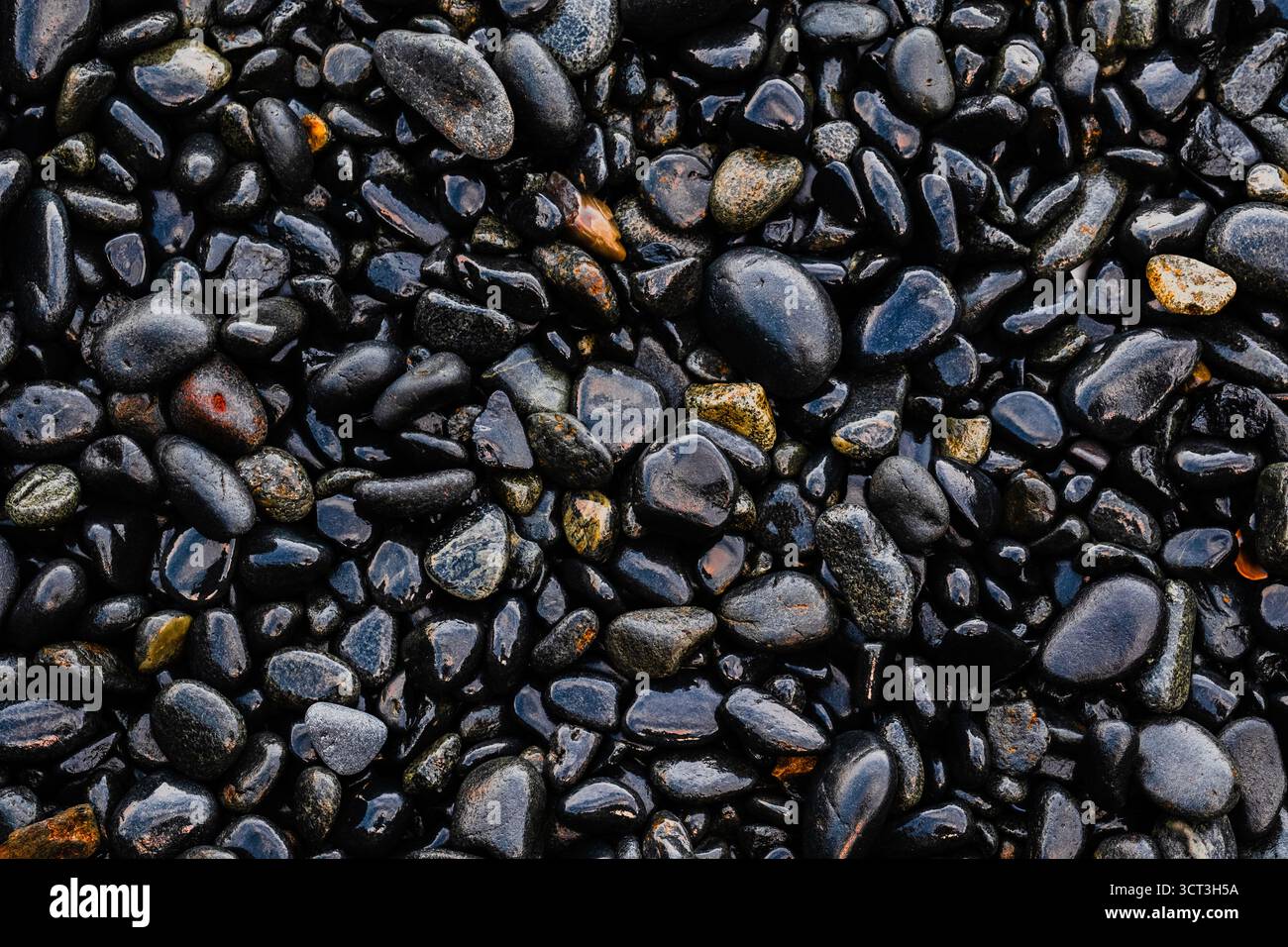 Un matériau fait de petits cailloux humides sur une plage bretonne Banque D'Images