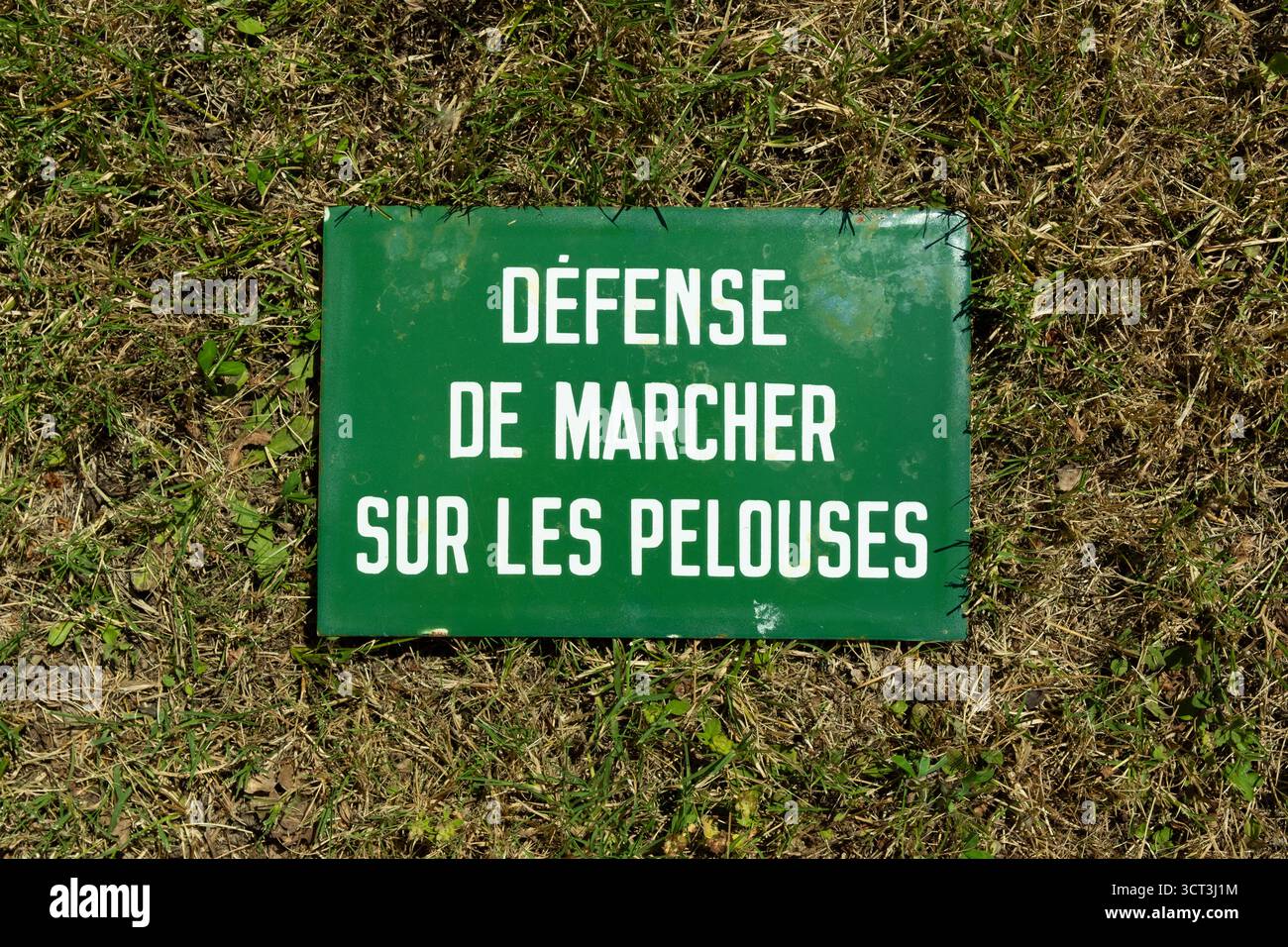 Un panneau interdit de marcher sur les pelouses Banque D'Images