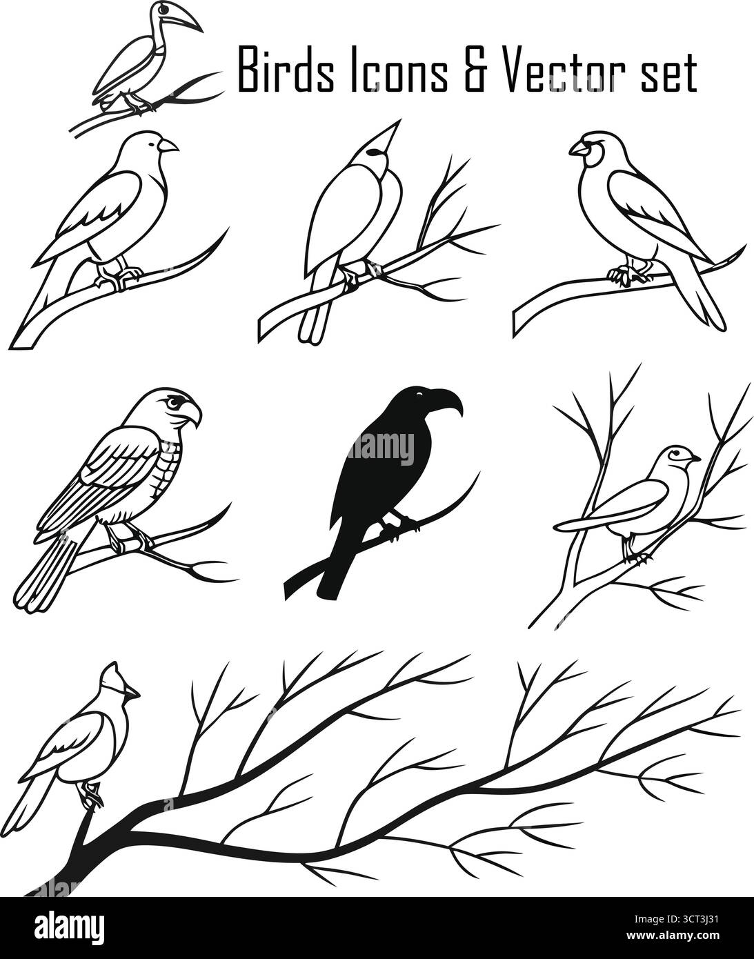 Ensemble d'icônes d'oiseaux – silhouettes d'oiseaux volants, faune et collection de vecteurs de nature Illustration de Vecteur