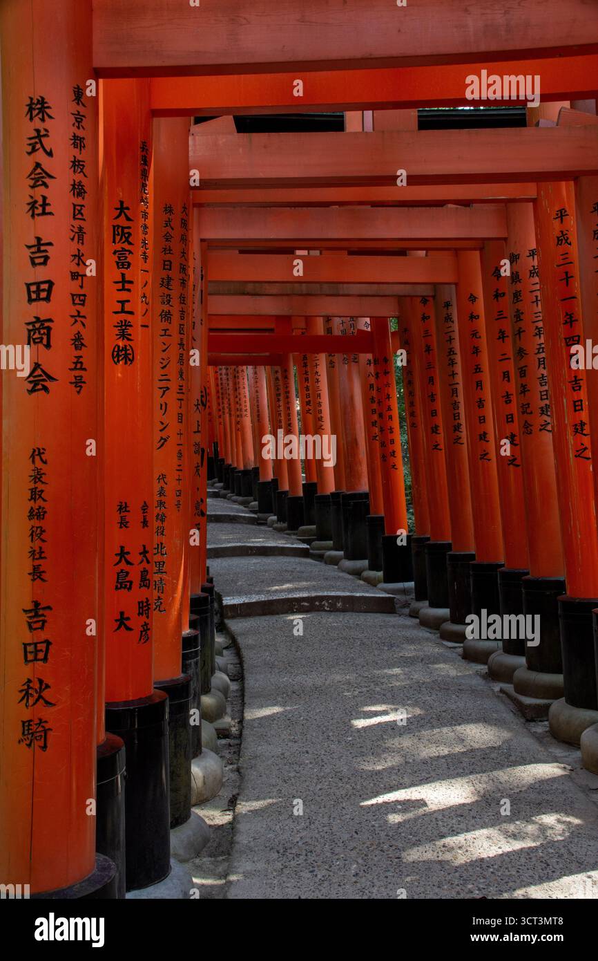 Sanctuaire Fushimi Inari Torii Gates à Kyoto, Japon Banque D'Images