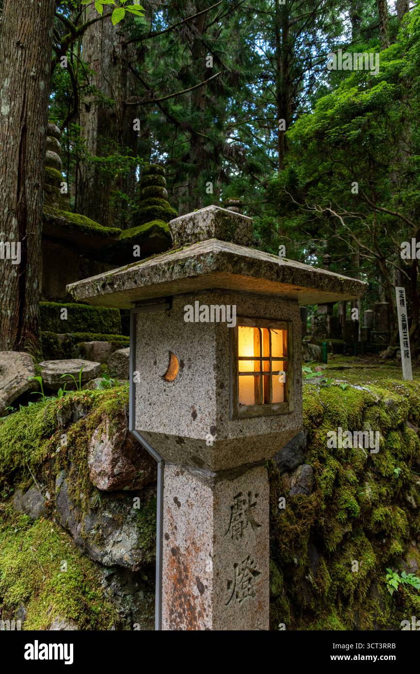 Lanterne en pierre au cimetière Okunoin à Koyasan, Japon Banque D'Images