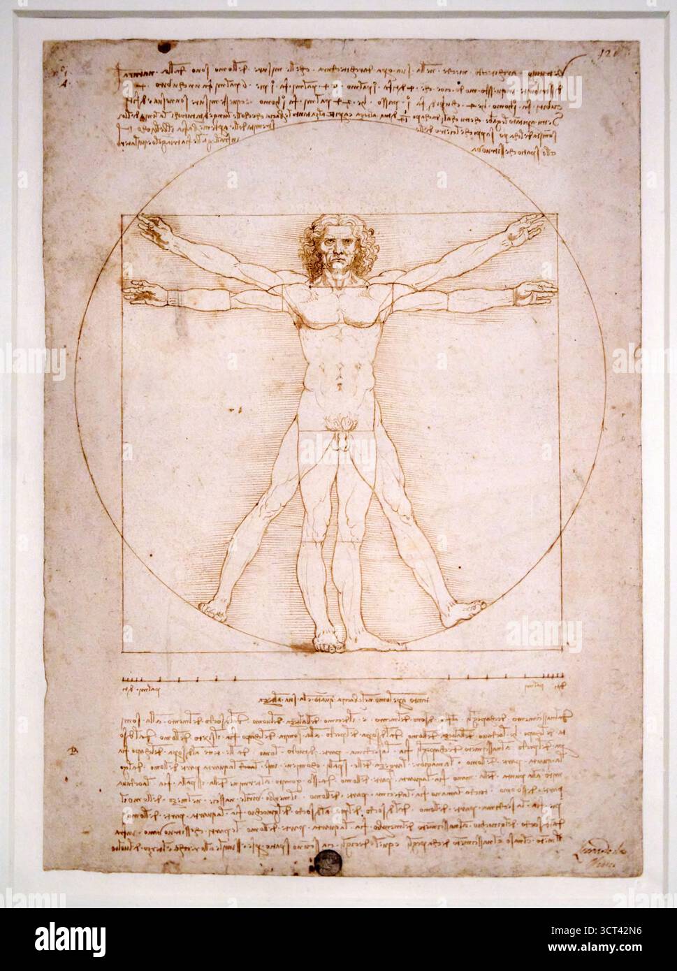 Léonard de Vinci (1452-1519), étude proportionnelle du corps masculin (homme de Vitruve), 1498, Metalpoint, plume et encre, touches d'aquarelle sur blanc PA Banque D'Images