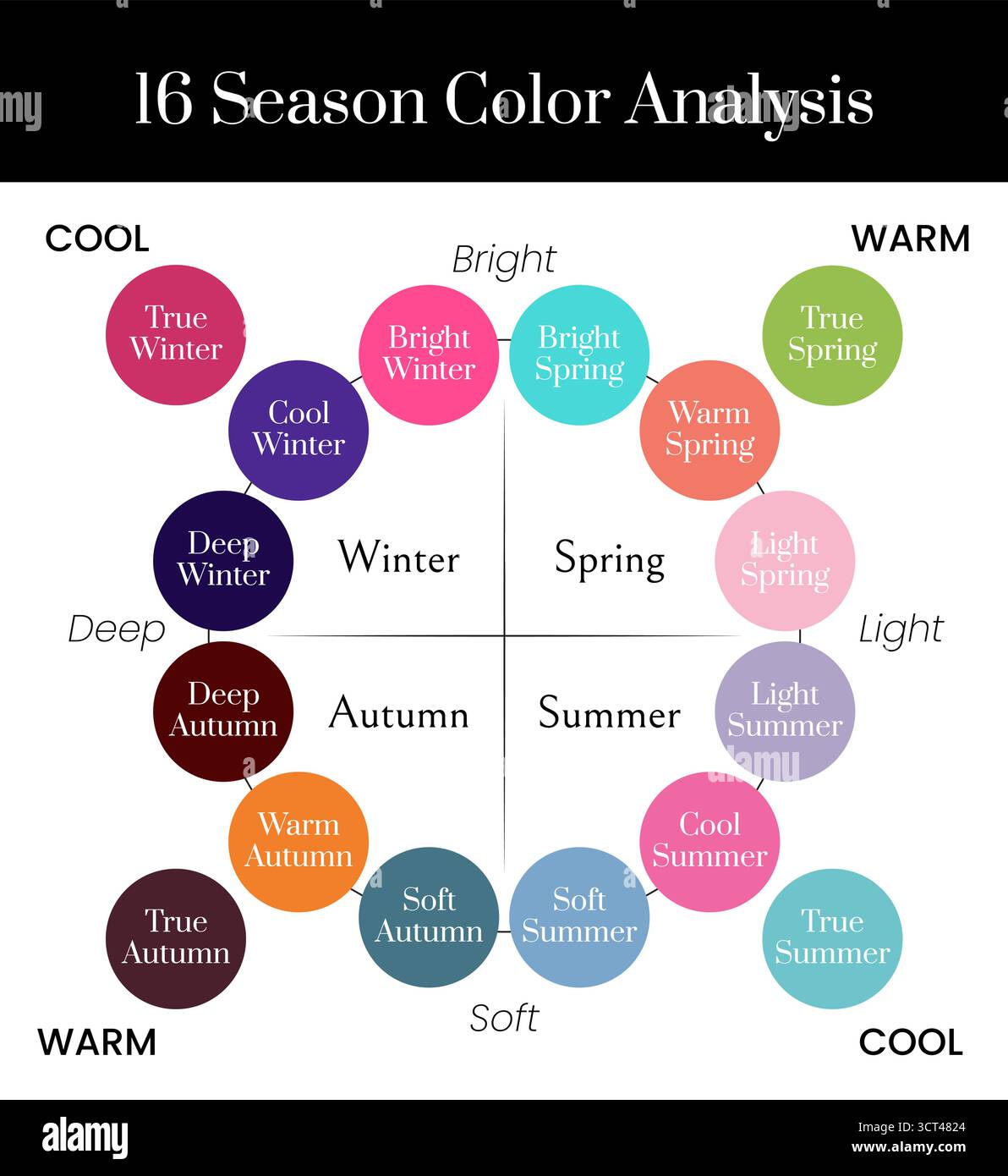 Illustration d'analyse des couleurs de la saison 16 pour les types froid, profond, lumineux et vrai hiver, lumineux, chaud, printemps léger, automne doux et été Illustration de Vecteur
