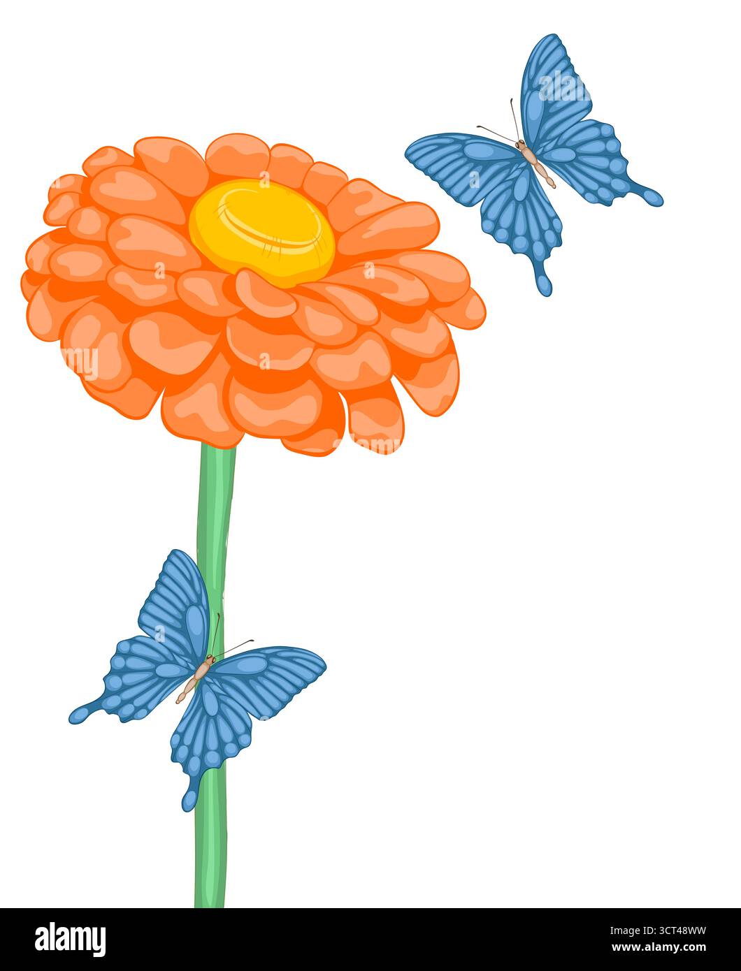 beau fond avec espace pour le texte avec des marguerites de fleurs et des papillons Illustration de Vecteur