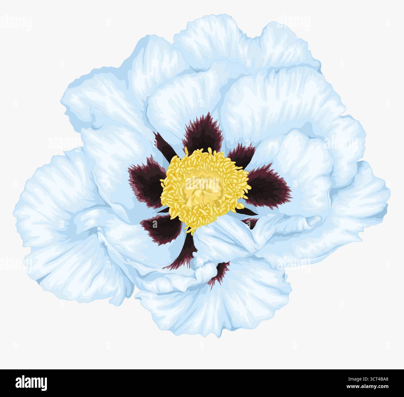 Belle plante Paeonia arborea (pivoine d'arbre) fleur blanche avec l'effet d'un dessin aquarelle isolé sur fond blanc. Illustration de Vecteur