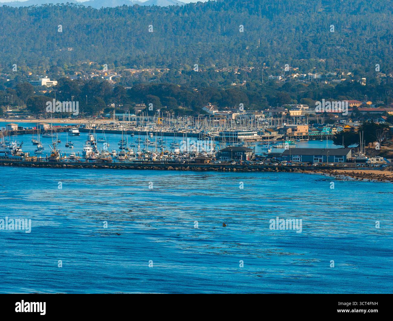 Vue aérienne de Monterey Marina avec voiliers et bâtiments en bord de mer Banque D'Images