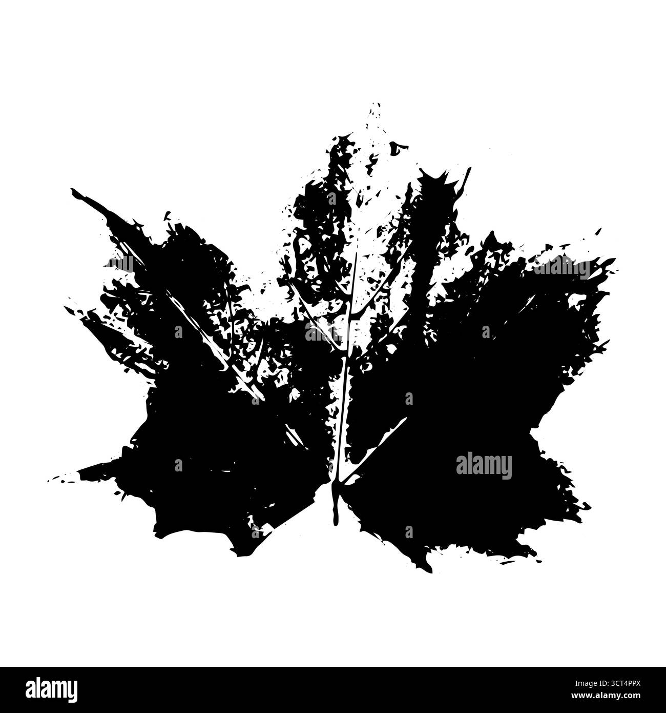 Timbre à feuilles encreuses. Imprimé herbier isolé sur blanc. Empreinte de feuille d'érable noire. Modèle vectoriel pour vos conceptions créatives Illustration de Vecteur