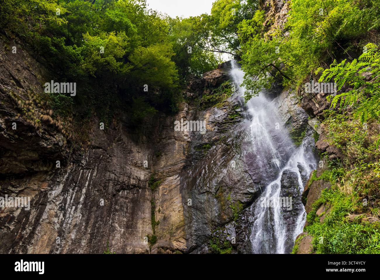 Plan de la belle cascade de montagne Banque D'Images