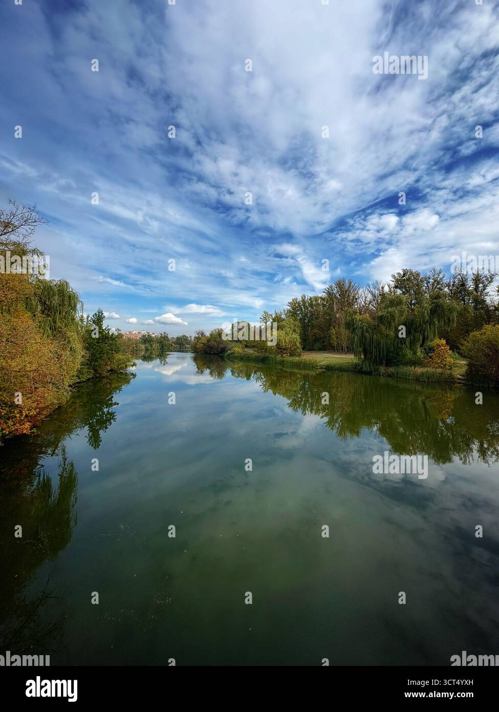 Rivière calme avec des reflets de nuages et d'arbres sous un ciel bleu. Banque D'Images