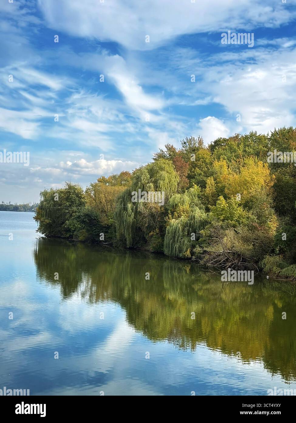 Rivière calme avec des reflets de nuages et d'arbres sous un ciel bleu. Banque D'Images