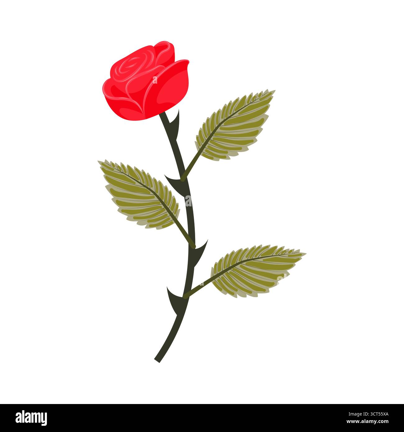 Rose rouge vif. Fleur sur une tige incurvée. Illustration vectorielle isolée sur un fond blanc. Illustration de Vecteur