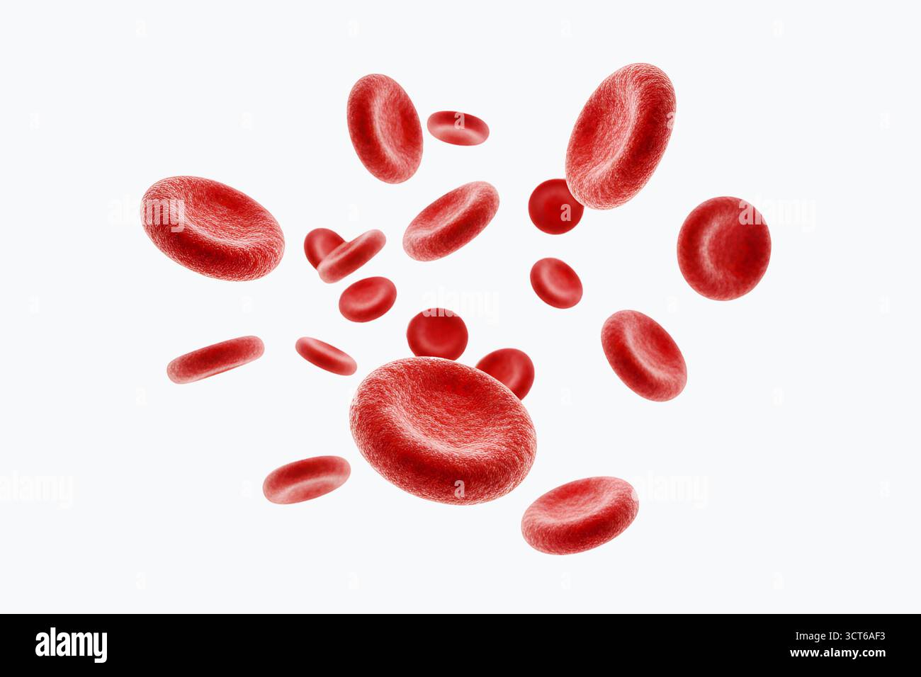 Gros plan des globules rouges. L'image est d'une seule cellule, mais elle est entourée d'autres cellules, donnant l'impression d'un amas Banque D'Images