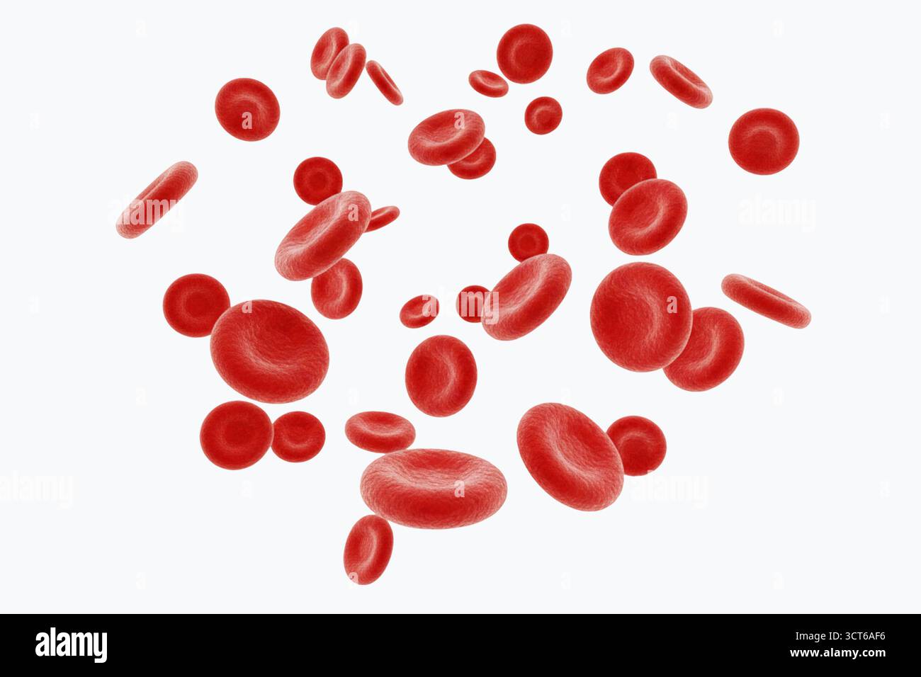 Gros plan des globules rouges. L'image est d'une seule cellule, mais elle est entourée d'autres cellules, donnant l'impression d'un amas Banque D'Images