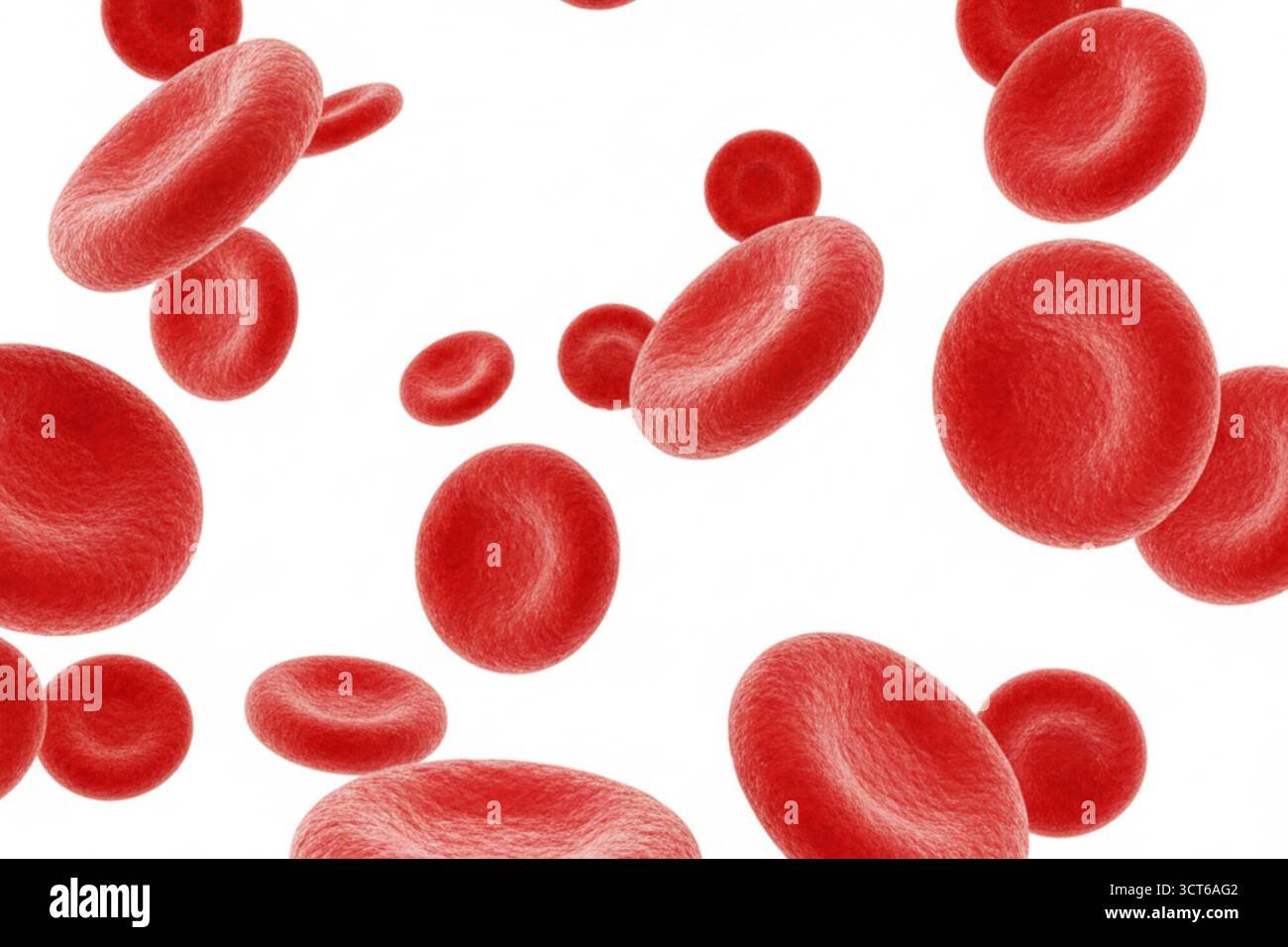 Gros plan des globules rouges. L'image est d'une seule cellule, mais elle est entourée d'autres cellules, donnant l'impression d'un amas Banque D'Images