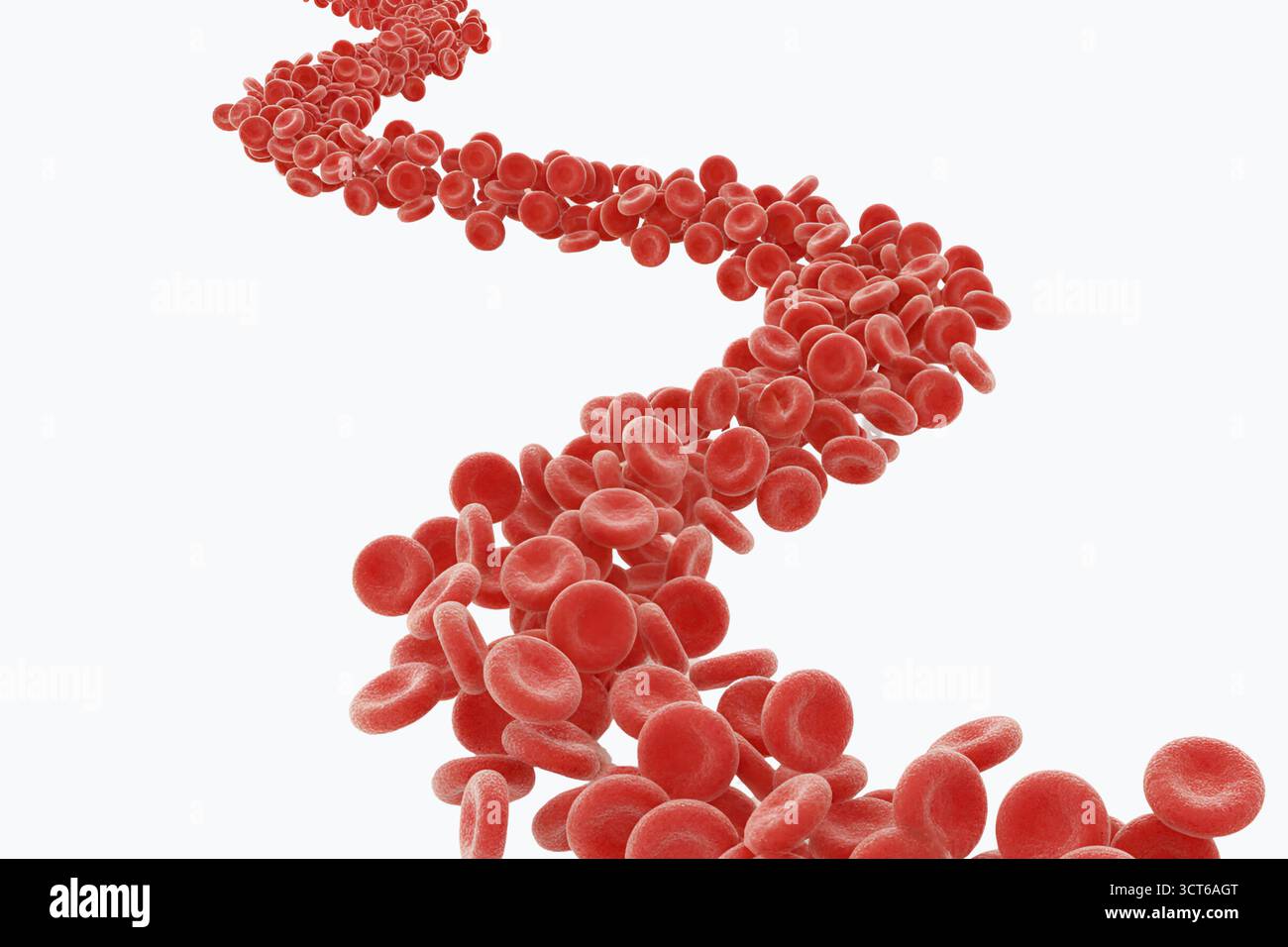 Gros plan des globules rouges. L'image est d'une seule cellule, mais elle est entourée d'autres cellules, donnant l'impression d'un amas Banque D'Images