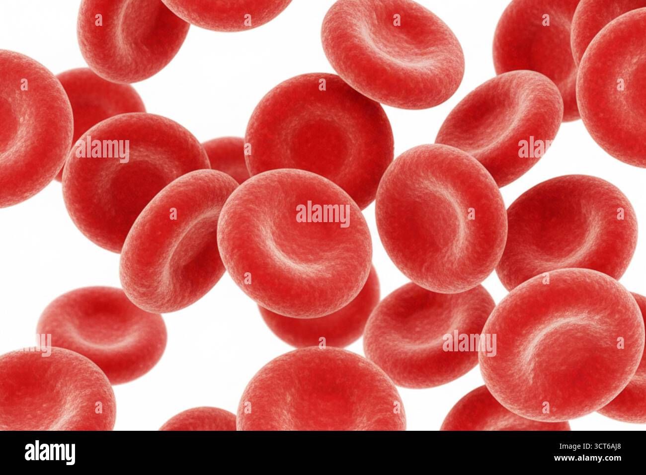 Gros plan des globules rouges. L'image est d'une seule cellule, mais elle est entourée d'autres cellules, donnant l'impression d'un amas Banque D'Images