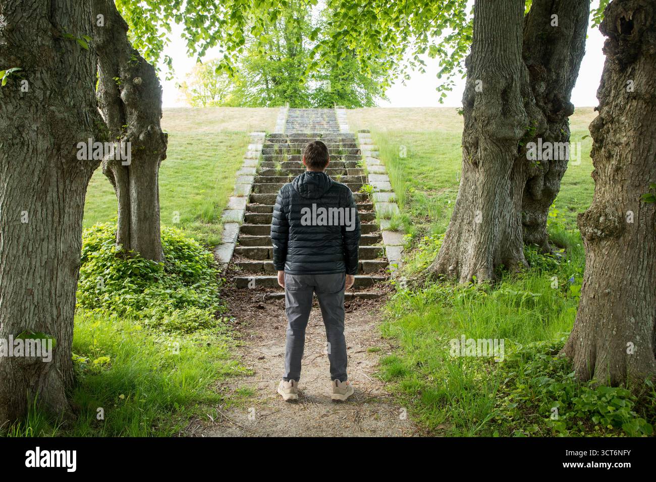 Homme en face des escaliers montant dans la forêt faisant image symbolique og choix et chemin dans la vie, quelle route dans la vie, homme avec des choix Banque D'Images