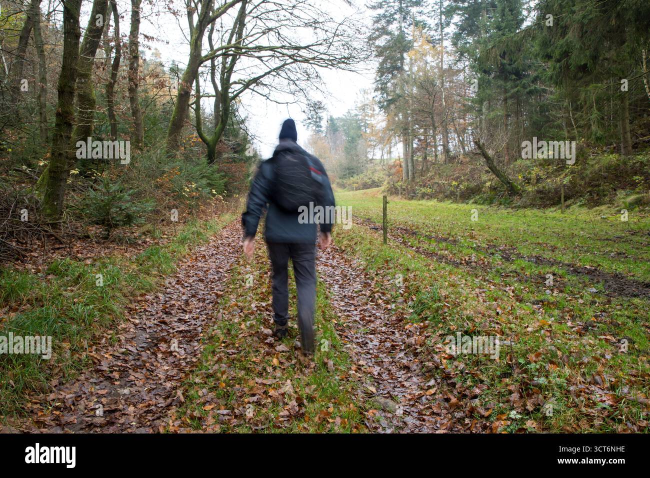 homme en vêtements d'hiver gris marchant sur un chemin dans le chemin forestier d'automne Banque D'Images