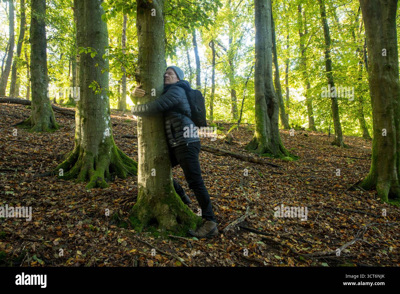 Homme embrassant un arbre montrant l'amour pour la nature dans la forêt de hêtres à l'automne avec des couleurs chaudes et la lumière du soleil Banque D'Images