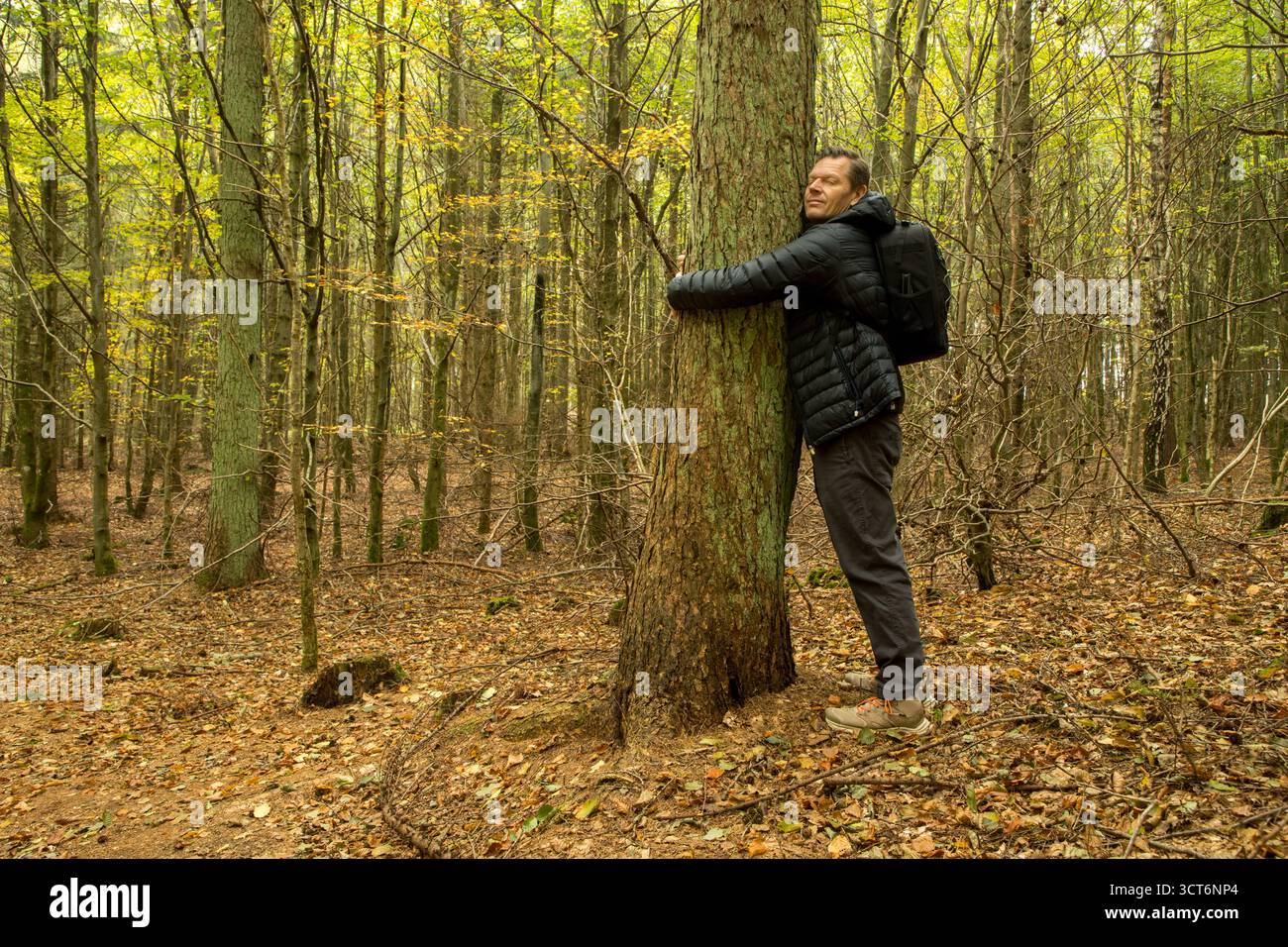 homme embrassant grand arbre, amour pour la nature, amour de la forêt, l'homme aime la nature, prendre soin de notre nature, thérapie de la nature, méditation de la nature en forêt Banque D'Images