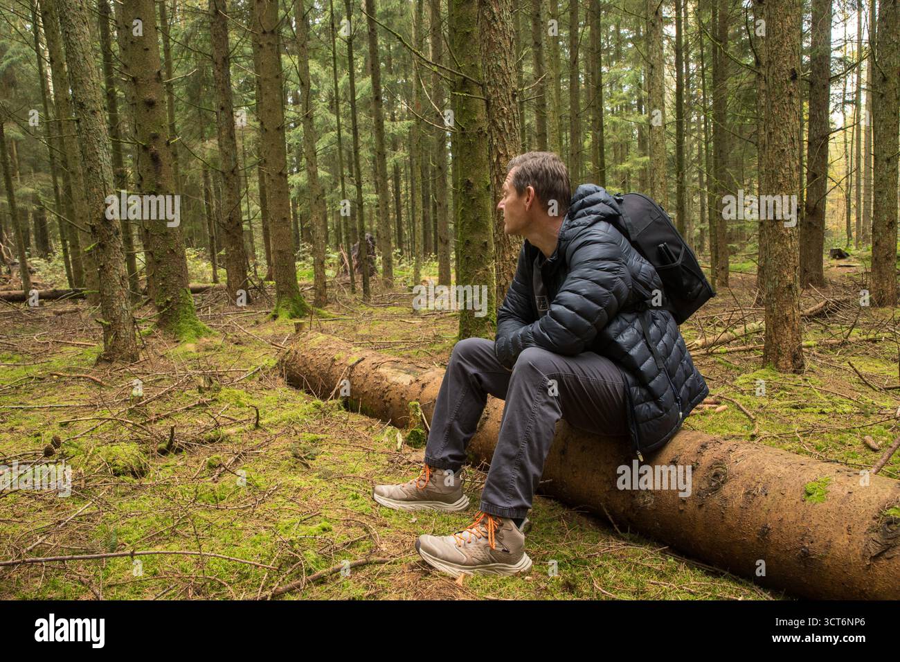 homme dans la forêt assis sur l'arbre tombé se reposant et appréciant la nature et le calme, homme se reposant dans la méditation de la forêt, le calme et le bien-être Banque D'Images
