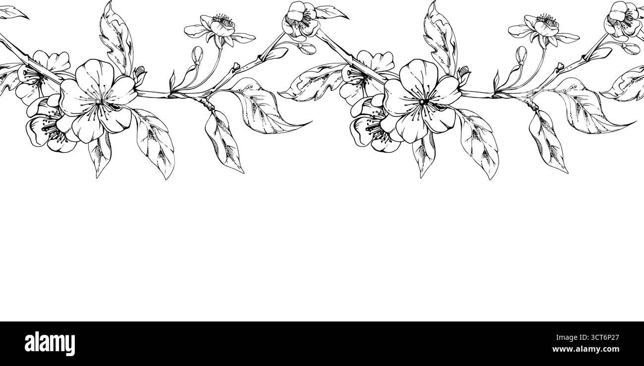 Fleur blanche de pomme de sakura cerise et bourgeon avec des feuilles de plante sur les branches, encre vectorielle dessinée à la main, illustration botanique de fleur sauvage. Isolation transparente Illustration de Vecteur