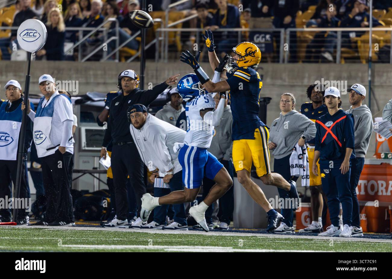 Berkeley, États-Unis. 05 octobre 2025. 04 octobre 2025 Berkeley CA, États-Unis le receveur large des Golden Bears de Californie Trond Grizzell (7) attrape le ballon sur le cornerback des Duke Blue Devils Kimari Robinson (5) pendant le match de football ACC de la NCAA entre Duke Blue Devils et les California Golden Bears. Duke a battu California 45-21au California Memorial Stadium. Thurman James/CSM/Sipa USA (crédit image : © Thurman James/Cal Sport Media/Sipa USA) crédit : Sipa US/Alamy Live News Banque D'Images
