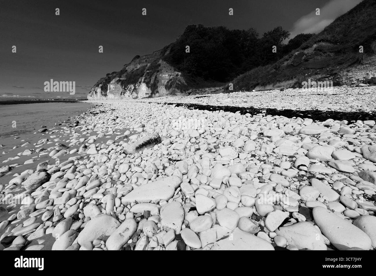 Vue sur les falaises Sewerby et l'Foreshore, village Sewerby, East Riding of Yorkshire, Angleterre, Royaume-Uni Banque D'Images