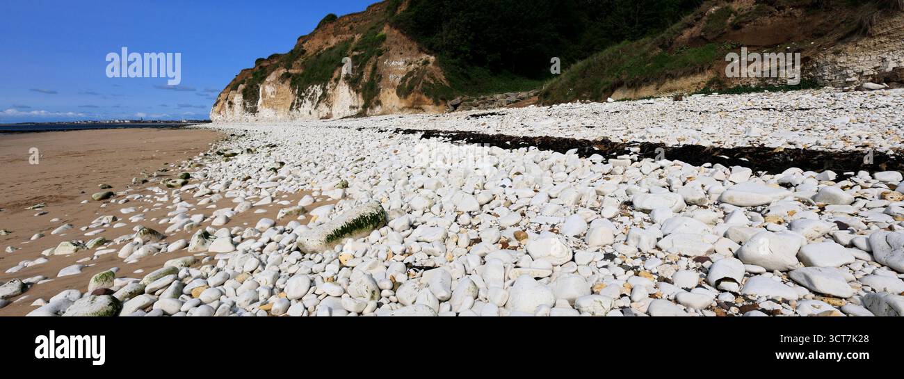 Vue sur les falaises Sewerby et l'Foreshore, village Sewerby, East Riding of Yorkshire, Angleterre, Royaume-Uni Banque D'Images