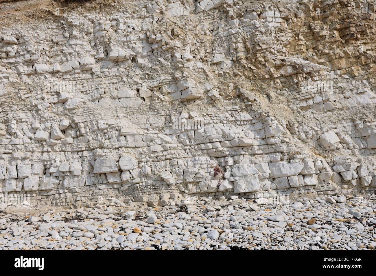 Vue sur les falaises Sewerby et l'Foreshore, village Sewerby, East Riding of Yorkshire, Angleterre, Royaume-Uni Banque D'Images
