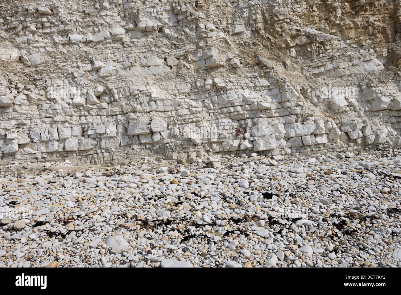 Vue sur les falaises Sewerby et l'Foreshore, village Sewerby, East Riding of Yorkshire, Angleterre, Royaume-Uni Banque D'Images