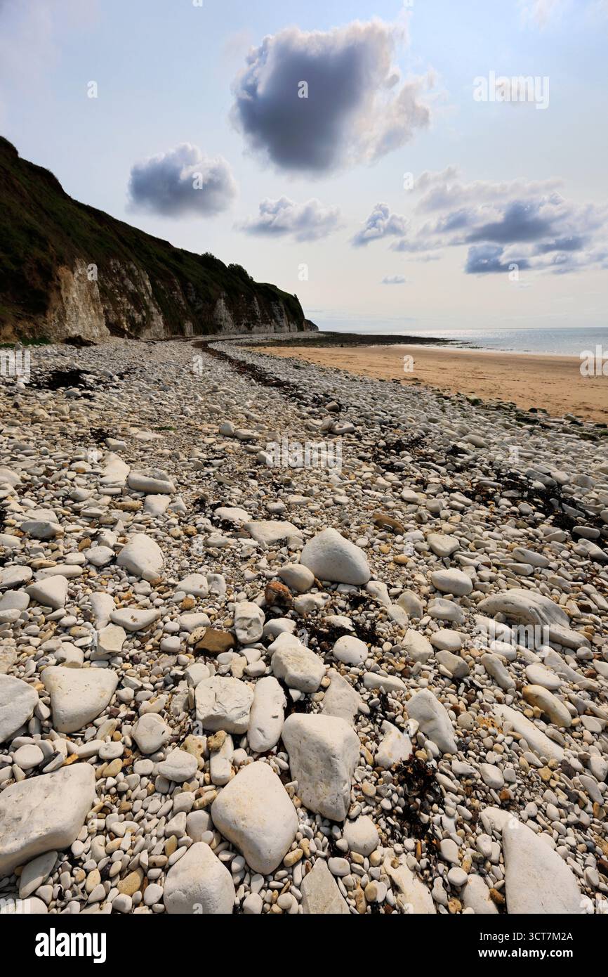 Vue sur les falaises Sewerby et l'Foreshore, village Sewerby, East Riding of Yorkshire, Angleterre, Royaume-Uni Banque D'Images