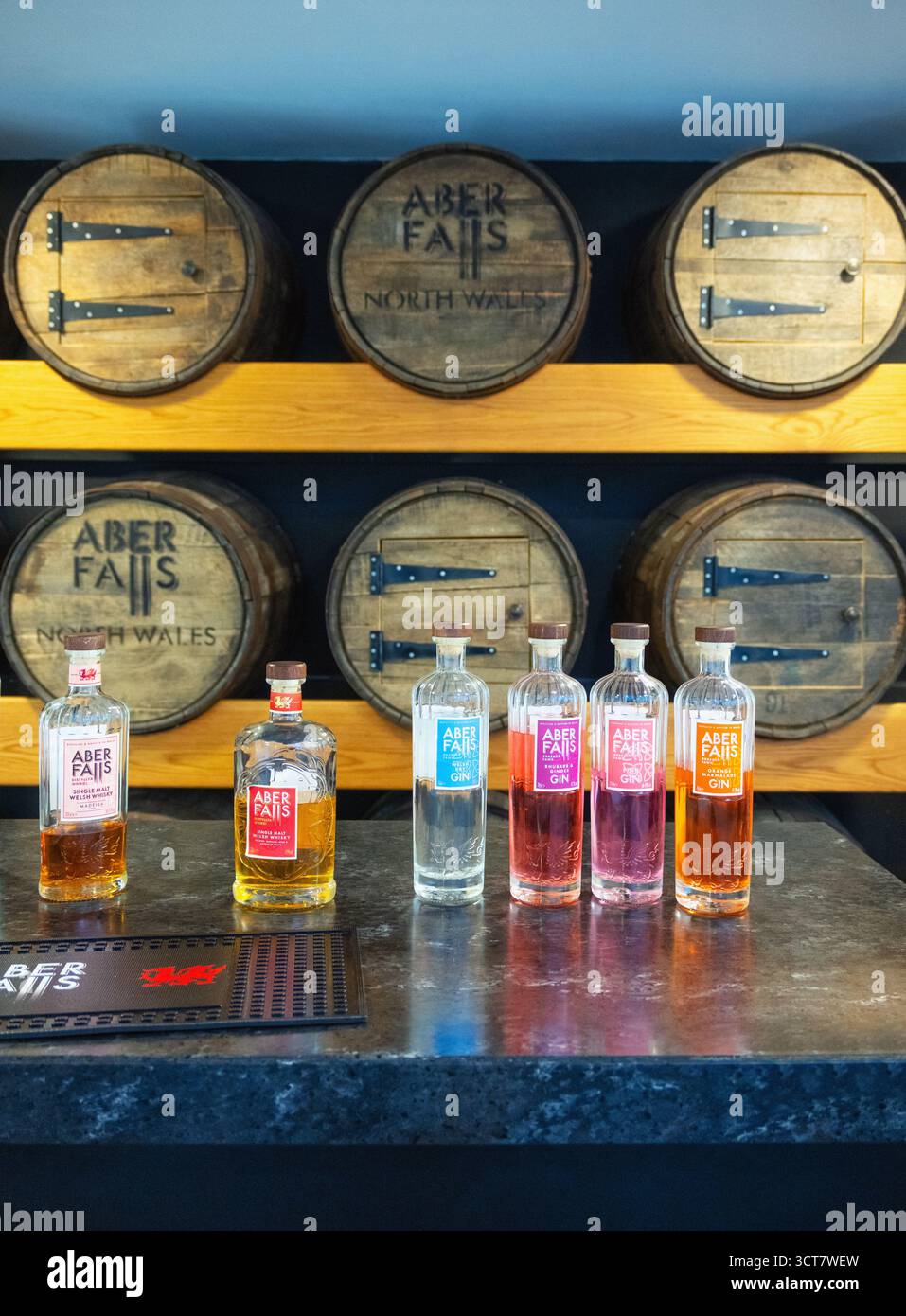 Dégustation de whisky et de gin à Aber Falls Distillery, Abergwyngregyn, Gwynedd, pays de Galles Banque D'Images
