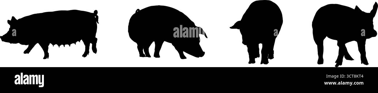 silhouettes de porcs de ferme - illustration vectorielle Illustration de Vecteur