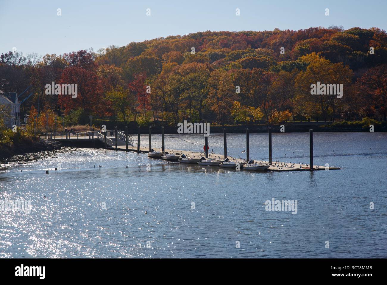 Une jetée et l'automne laisse des arbres colorés sur la rive de Spuyten Duyvil Creek, Inwood Manhattan, New York City, États-Unis Banque D'Images