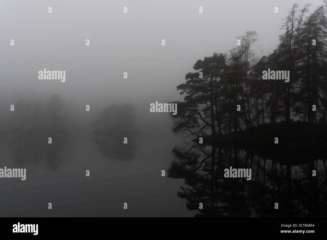 Lac brumeux avec des arbres reflétés dans l'eau plate le matin brumeux dans Lake District Banque D'Images