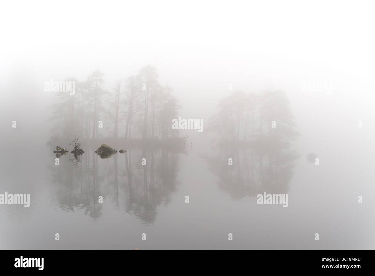 Lac brumeux avec des rochers et des arbres reflétés dans l'eau calme le matin brumeux Banque D'Images