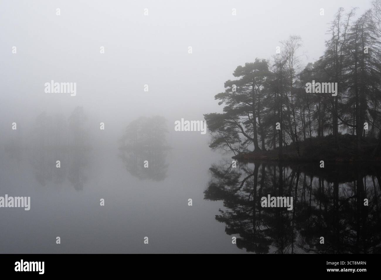 Lac brumeux avec des arbres reflétés dans l'eau calme le matin d'hiver brumeux Banque D'Images