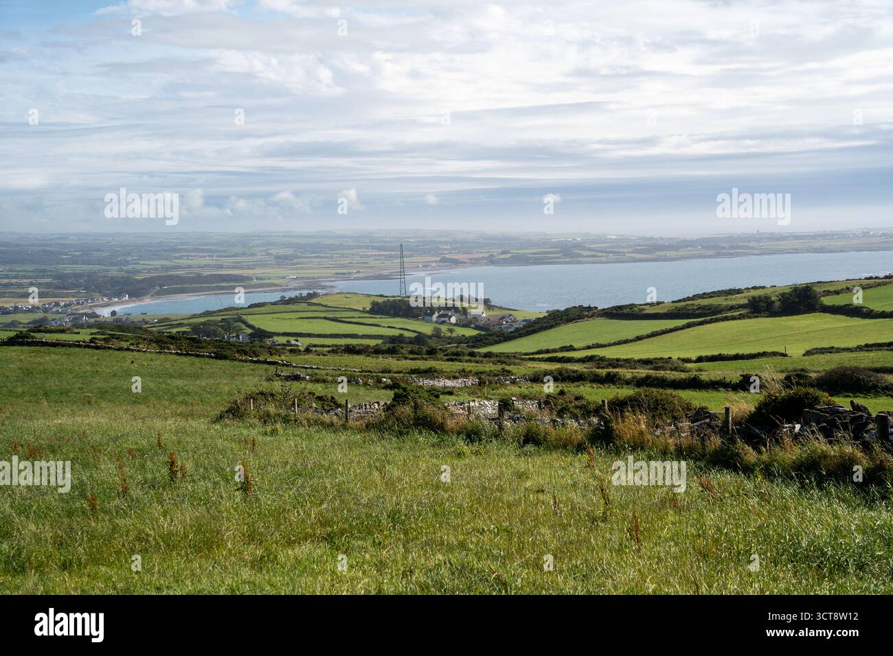 Champs verdoyants et paysage côtier sur l'île de Man avec des murs de pierre et des haies Banque D'Images