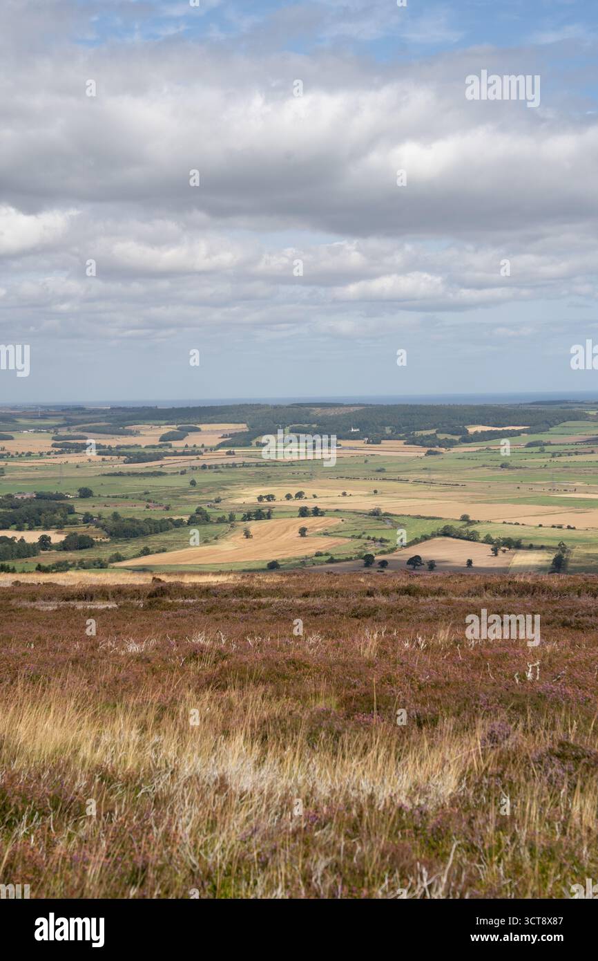 Vue imprenable sur la campagne du Northumberland avec landes de bruyère et champs de patchwork Banque D'Images