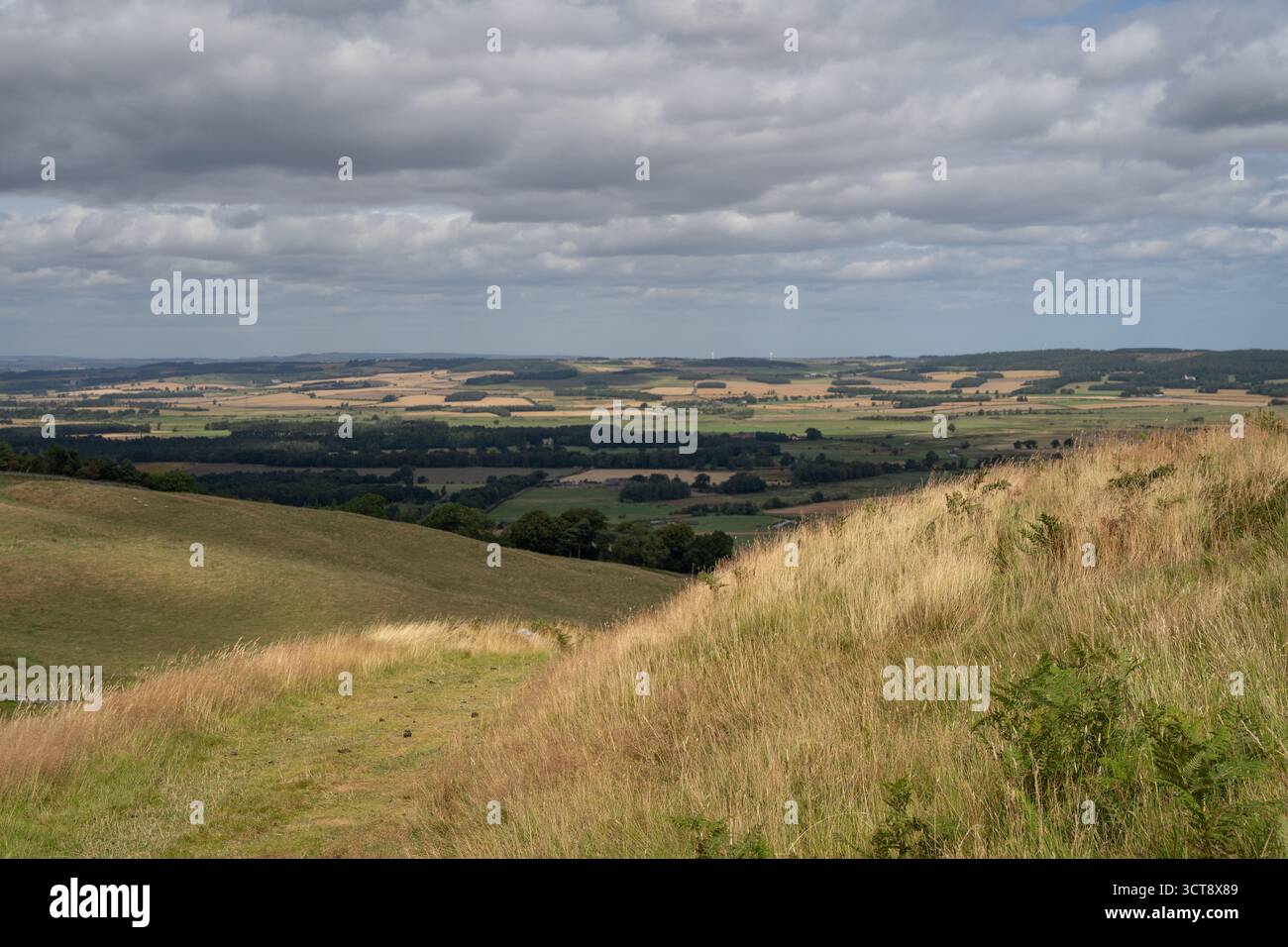 Paysage vallonné à travers les collines et les vallées du Northumberland sous un ciel nuageux Banque D'Images
