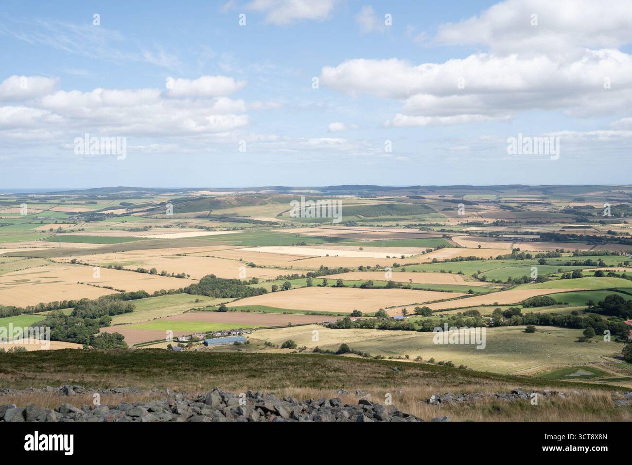 Paysage agricole vallonné avec des champs patchwork dans la campagne du Northumberland Banque D'Images