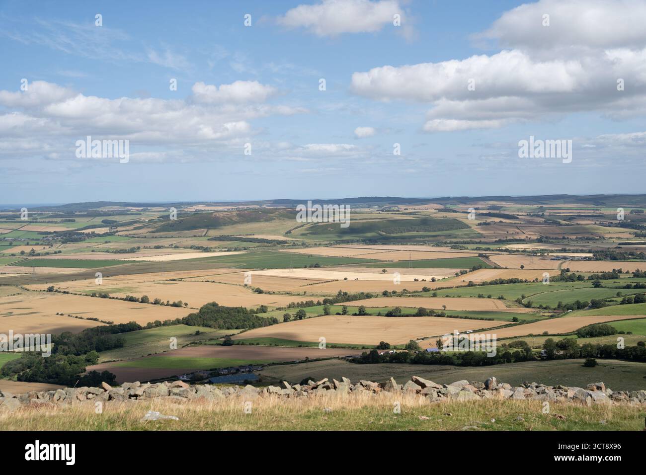 Paysage de campagne vallonné avec des champs en patchwork et un mur de pierre dans le Northumberland, Angleterre Banque D'Images