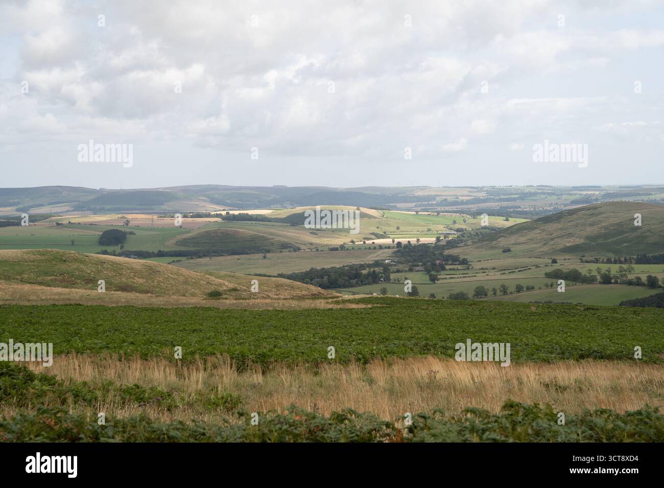 Collines et champs agricoles dans la campagne du Northumberland Banque D'Images
