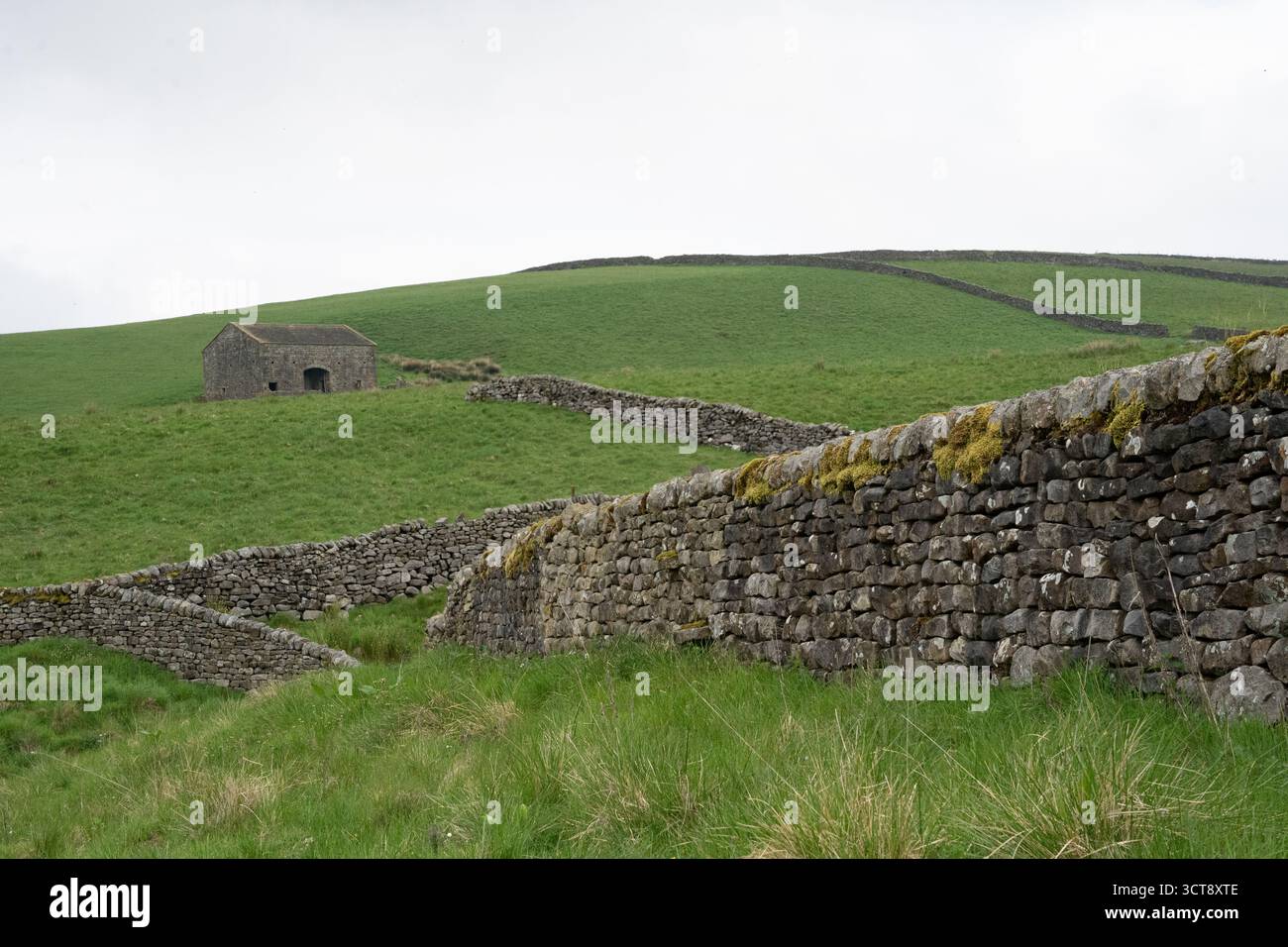 Grange en pierre traditionnelle des Yorkshire Dales et murs en pierre sèche dans une campagne verdoyante Banque D'Images
