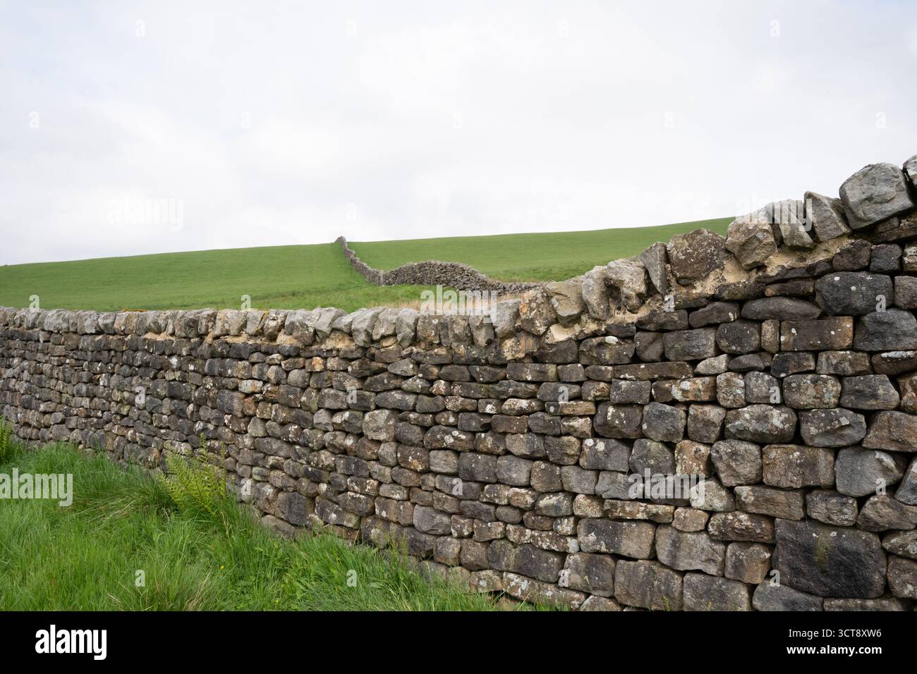 Mur traditionnel en pierre sèche serpentant à travers les champs de campagne du Yorkshire Banque D'Images