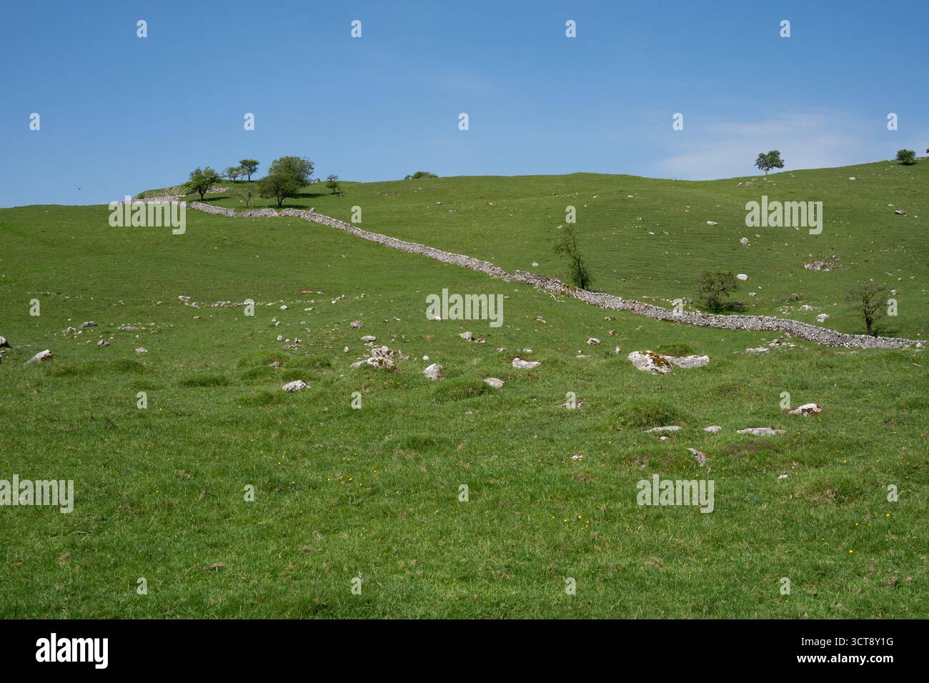 Murs traditionnels en pierre sèche traversant la campagne verdoyante des Yorkshire Dales Banque D'Images