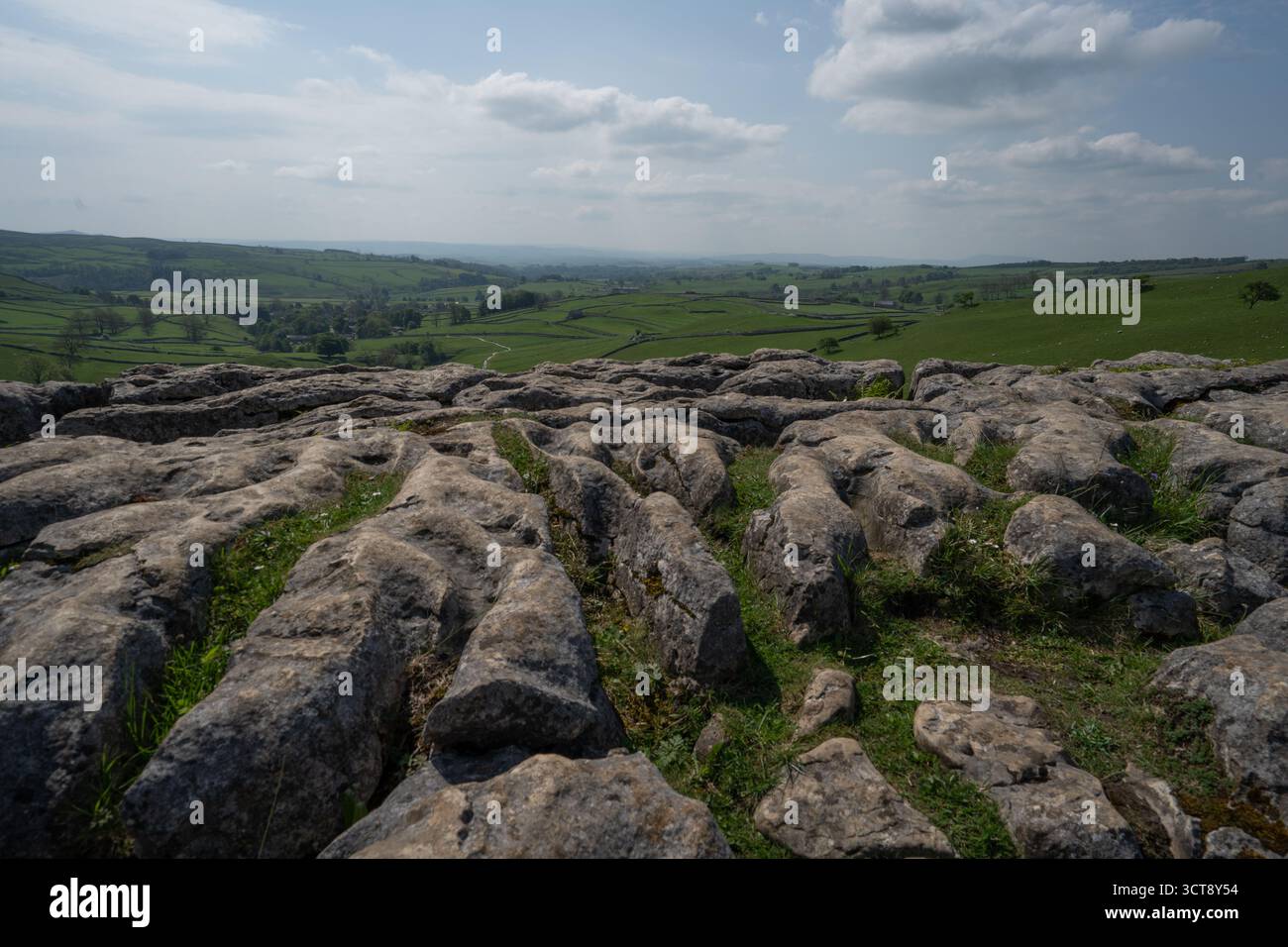 Pavé calcaire avec des champs verts et des collines ondulantes dans la campagne des Yorkshire Dales Banque D'Images