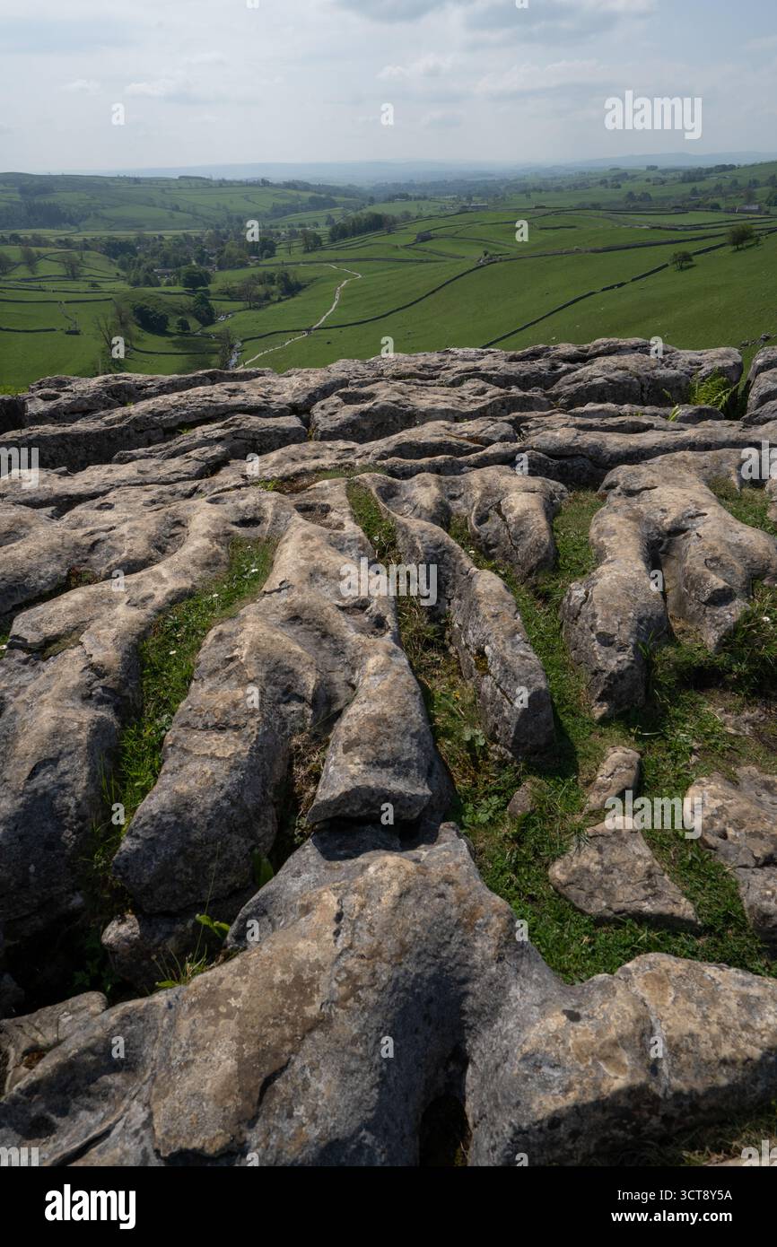 Pavé calcaire surplombant les champs verts et les murs de pierre sèche dans les Yorkshire Dales Banque D'Images
