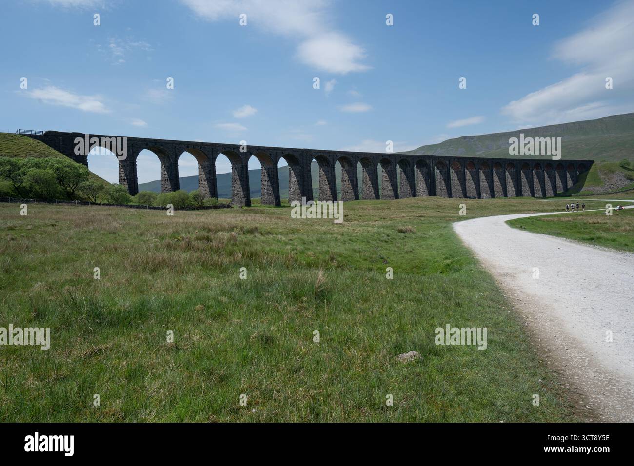 Viaduc ferroviaire historique avec de multiples arches en pierre enjambant la campagne des Yorkshire Dales Banque D'Images
